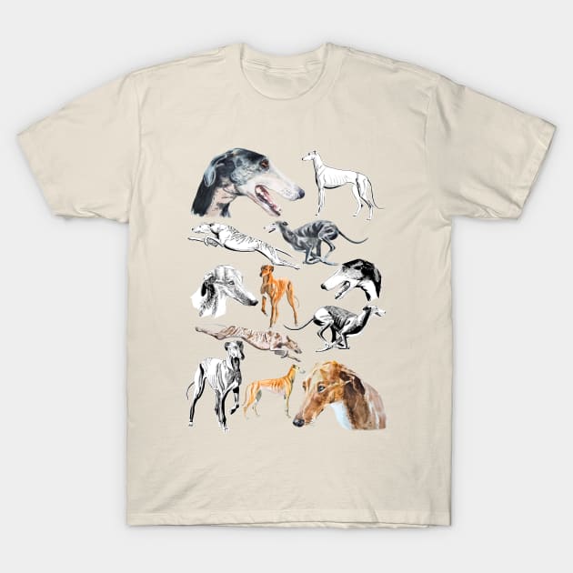 greyhound T-Shirt by VicaVeresk